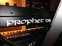 Prophet Rear